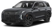 2023 Hyundai Palisade 4dr AWD_101